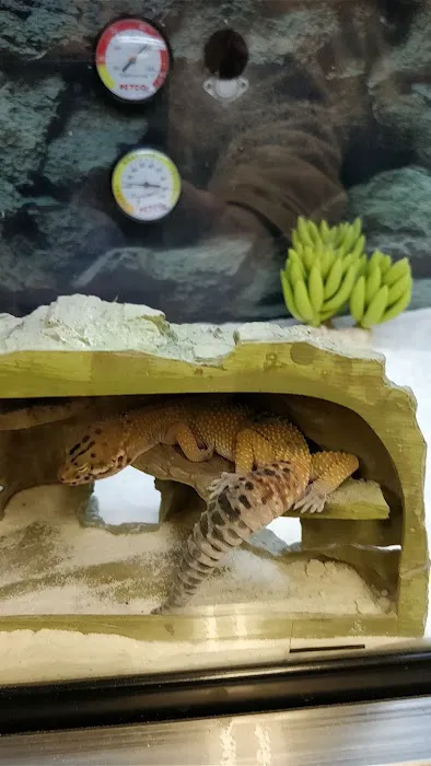 Petco Picture 10