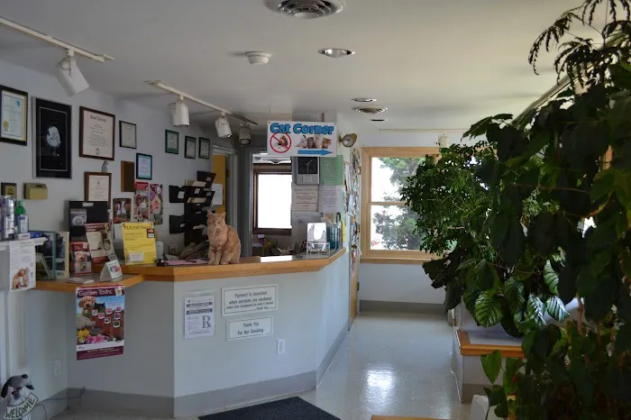 The Animal Hospitable Veterinary Clinic Picture 2