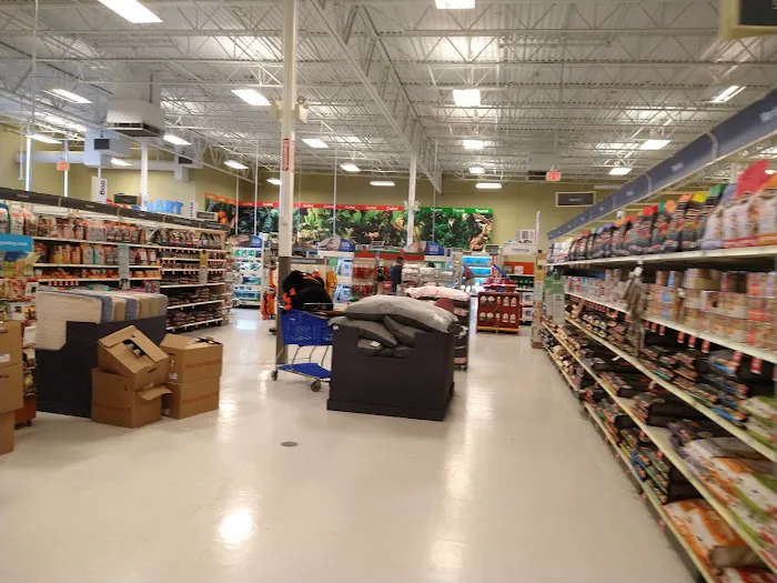 Petco Picture 5