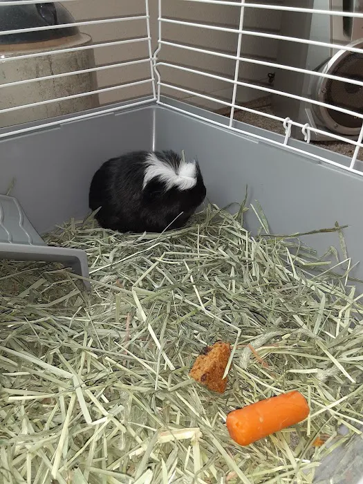 Petco Picture 6