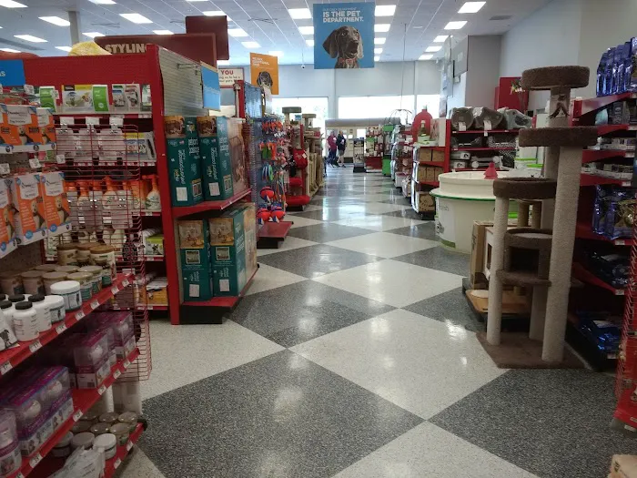 Petco Picture 8