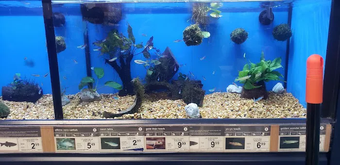 Petco Picture 10