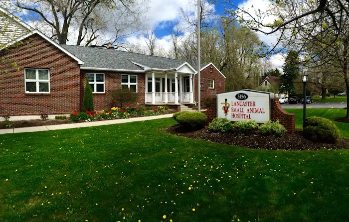 Lancaster Small Animal Hospital Picture 2
