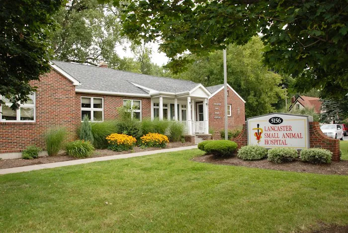 Lancaster Small Animal Hospital Picture 3