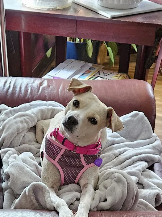 Lancaster Small Animal Hospital Picture 8