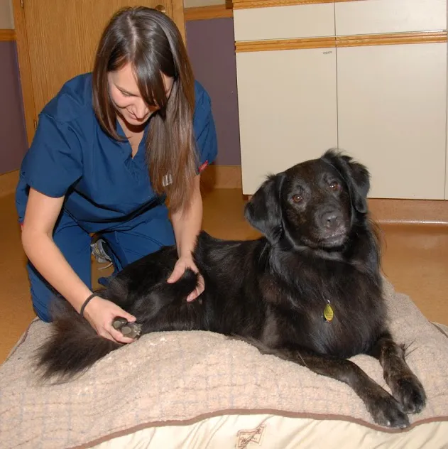 Lancaster Small Animal Hospital Picture 9