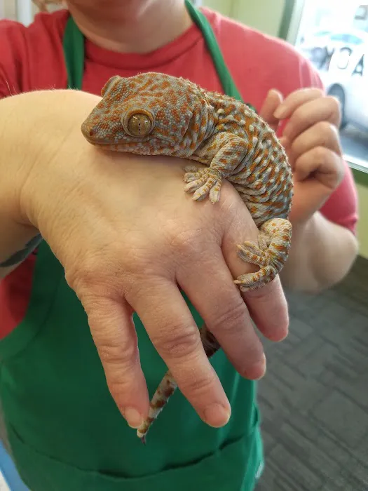The Reptile Snack Shack Picture 5