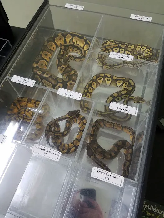 The Reptile Snack Shack Picture 1