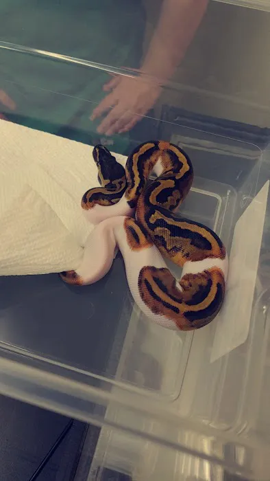 The Reptile Snack Shack Picture 10
