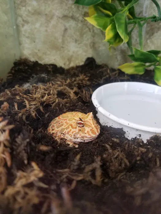 The Reptile Snack Shack Picture 8