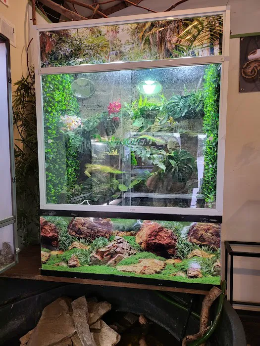 Reptiles, Etc. Picture 5
