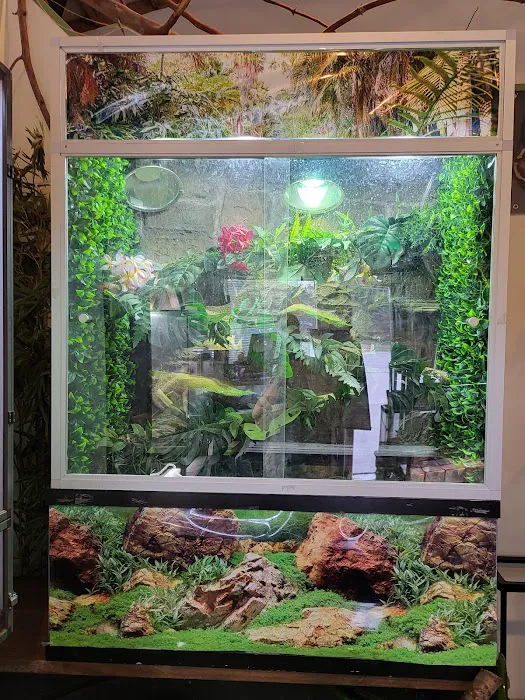 Reptiles, Etc. Picture 7