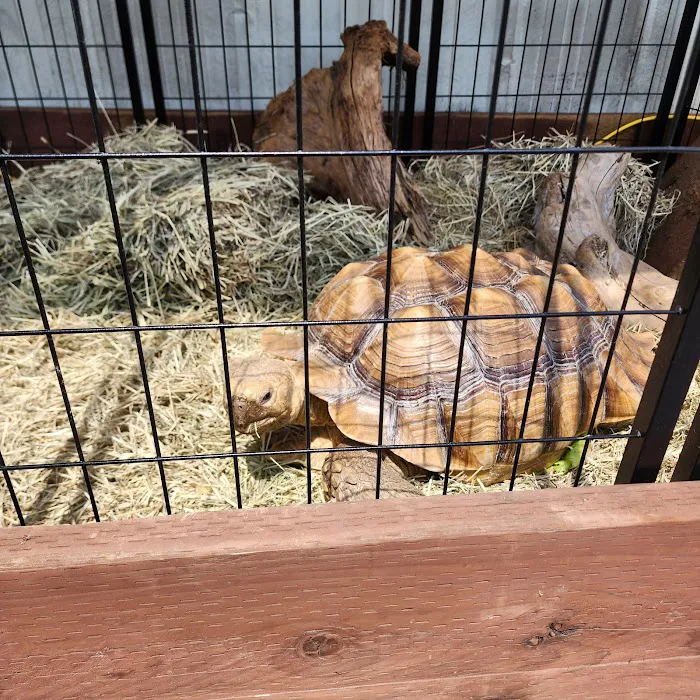 Reptiles, Etc. Picture 6