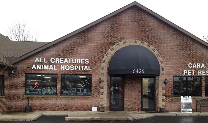 All Creatures Animal Hospital Picture 1