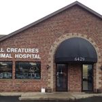 All Creatures Animal Hospital