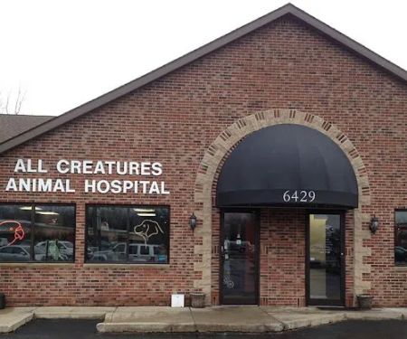 All Creatures Animal Hospital