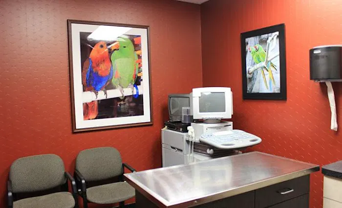 All Creatures Animal Hospital Picture 2