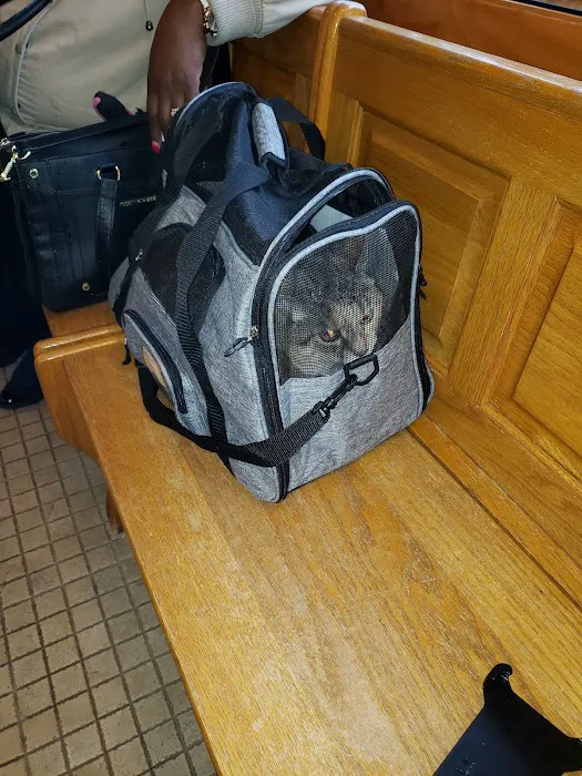 Alliance Animal Hospital Picture 4