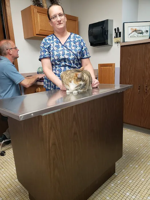 Alliance Animal Hospital Picture 7