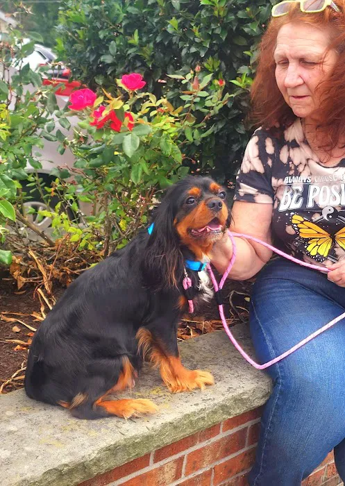 Alliance Animal Hospital Picture 10