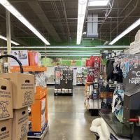 Petco ico