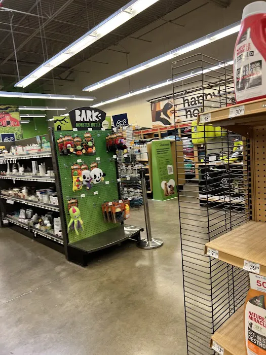 Petco Picture 8