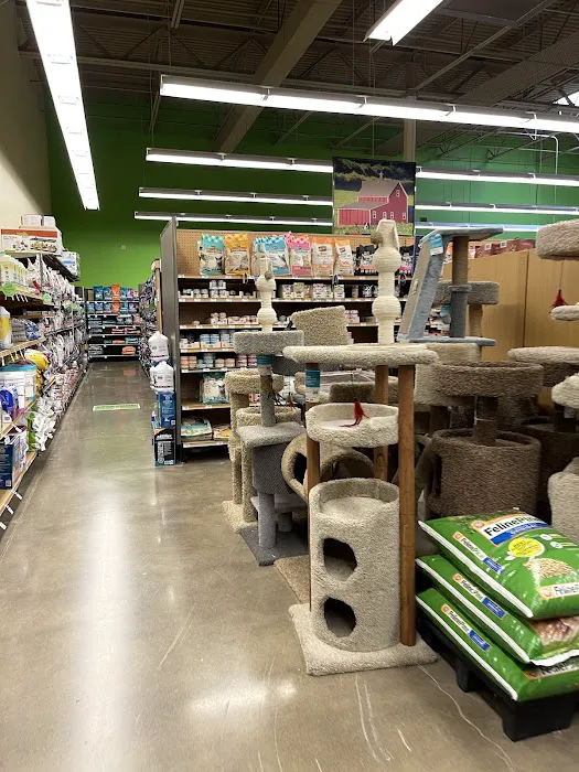Petco Picture 6