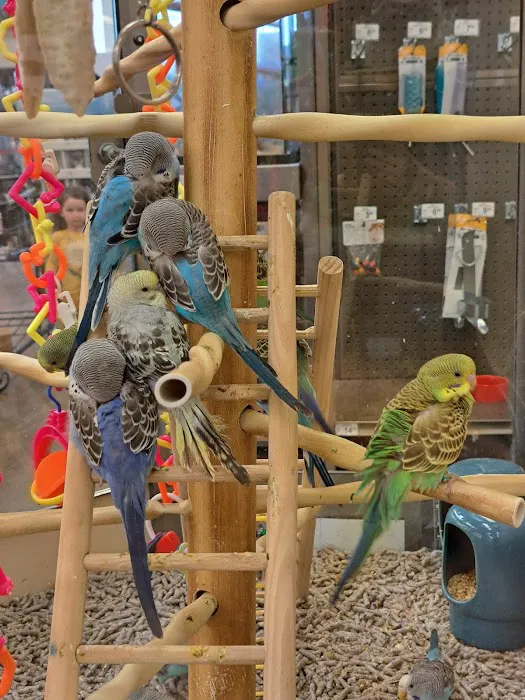 Petco Picture 5