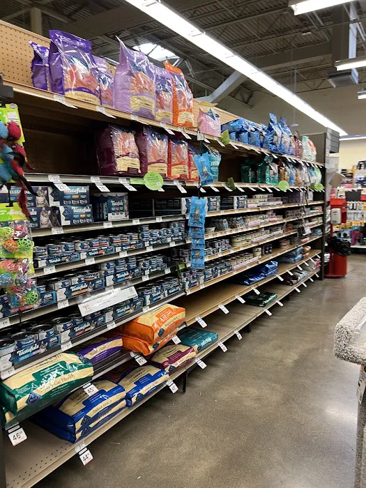 Petco Picture 10