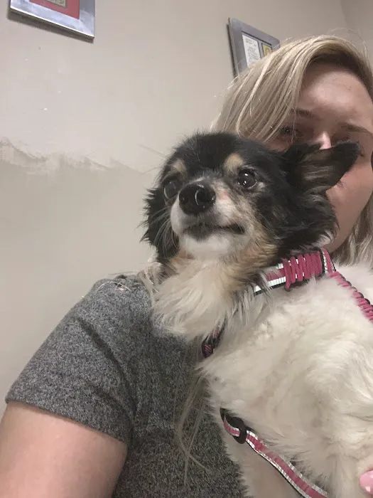 Animal Eye Care of Western New York Picture 1