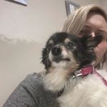 Animal Eye Care of Western New York