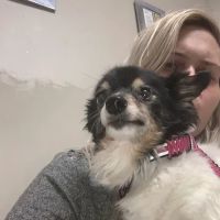 Animal Eye Care of Western New York ico