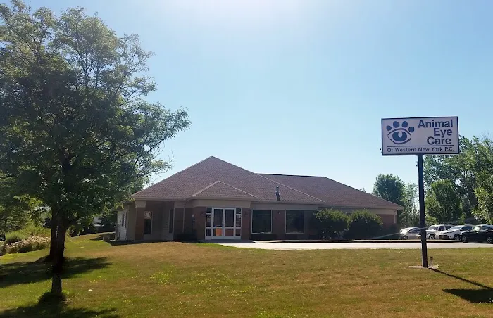 Animal Eye Care of Western New York Picture 3