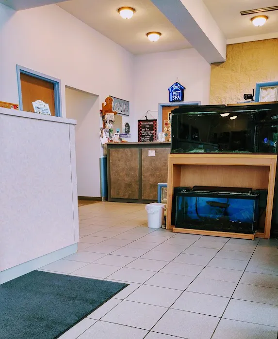 Transit Animal Hospital Picture 8