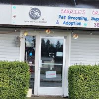 Carrie's Critters ico