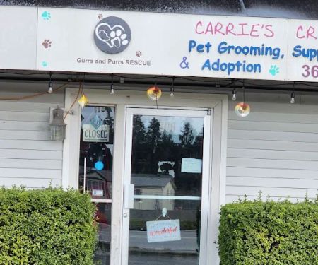 Carrie's Critters
