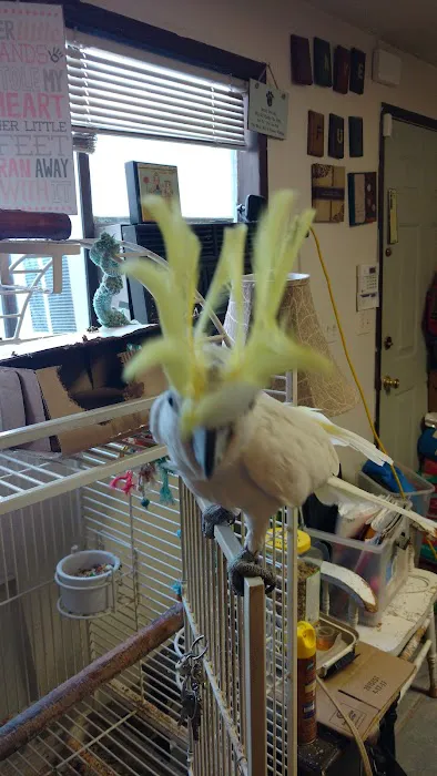Carrie's Critters Picture 3