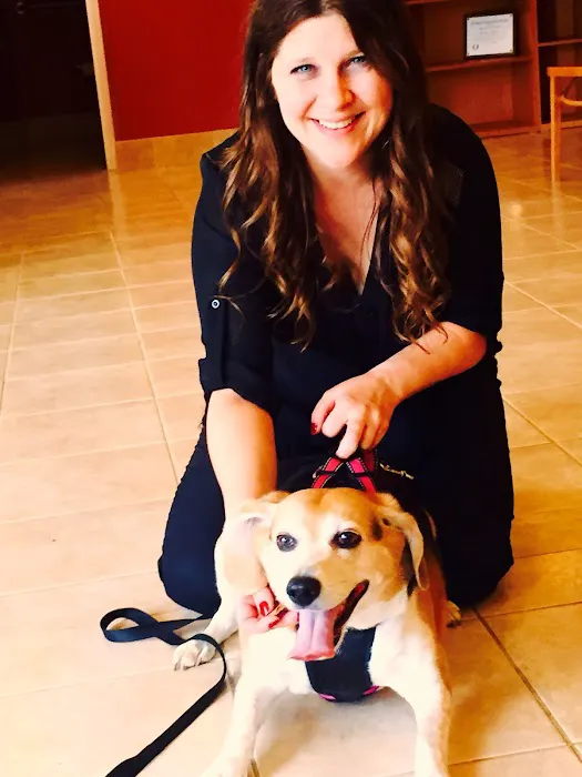 Elma Animal Hospital Picture 1