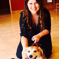 Elma Animal Hospital ico