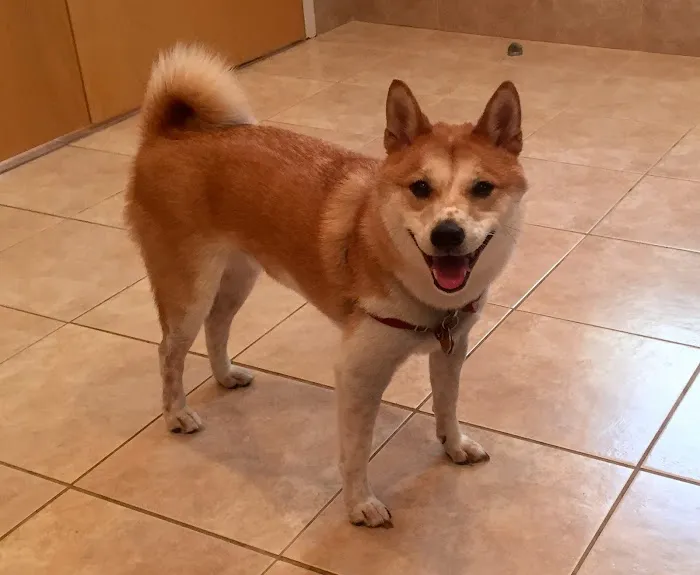 Elma Animal Hospital Picture 4