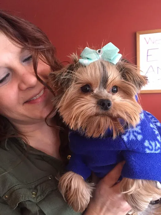 Elma Animal Hospital Picture 6