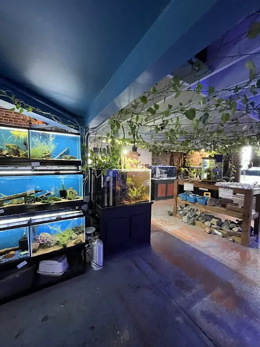 The Pet Works Picture 2