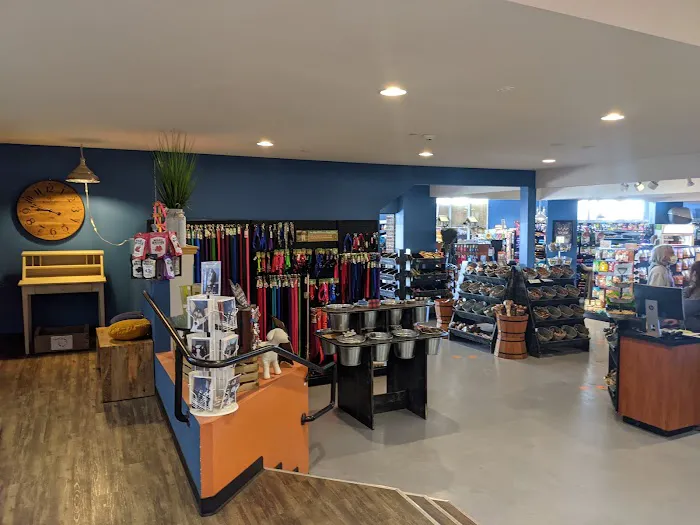 The Pet Works Picture 8
