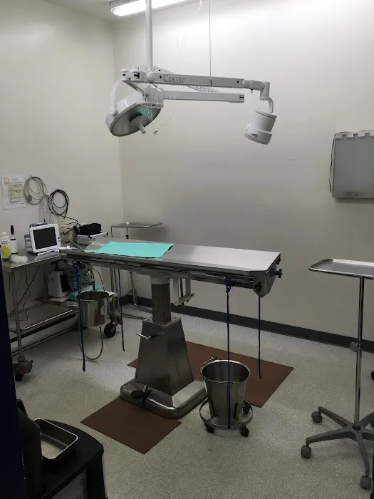 Suburban South Veterinary Hospital Picture 6