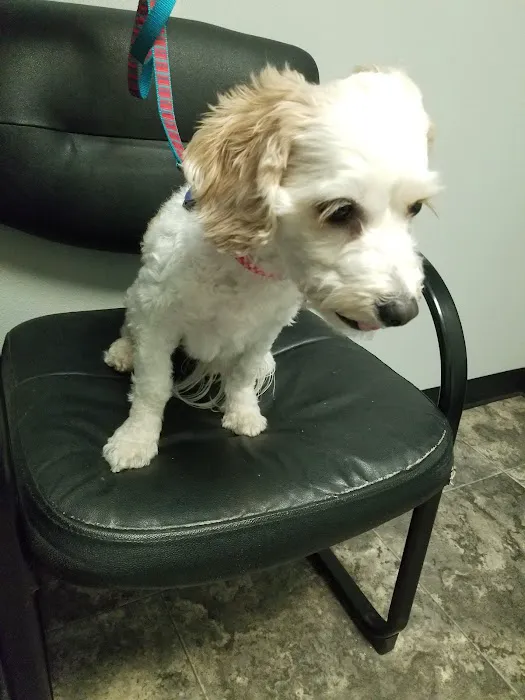 Suburban South Veterinary Hospital Picture 9