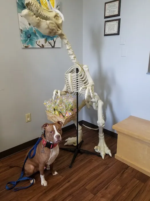 Suburban South Veterinary Hospital Picture 7