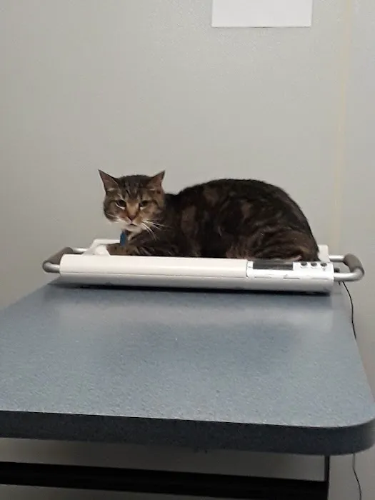 Suburban South Veterinary Hospital Picture 10