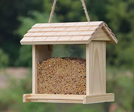 Weiks' Wild Bird Shop Picture 9