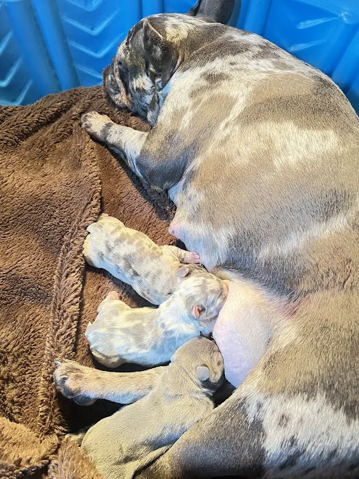 Tri-Town Veterinary Hospital Picture 5