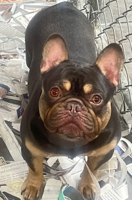 Tri-Town Veterinary Hospital Picture 8
